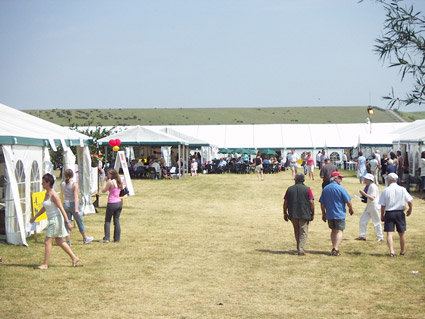 Festival Marquees